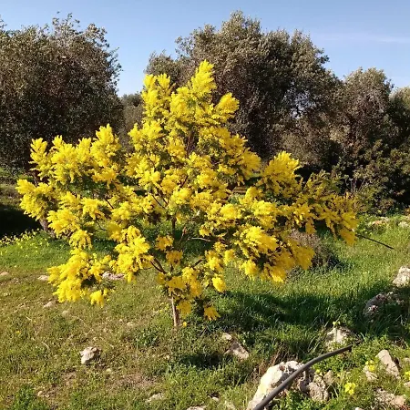 Casa Centopezze Vakantiehuis *