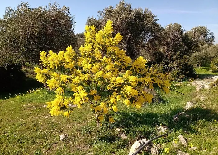 Casa Centopezze Dom wakacyjny *