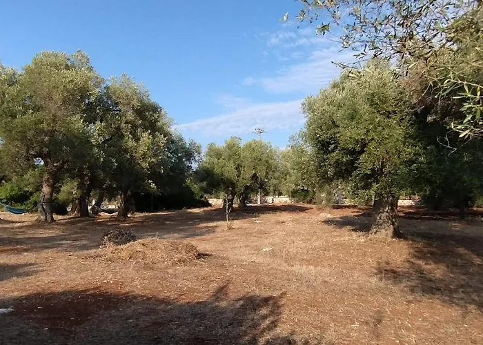 Casa Centopezze Dom wakacyjny